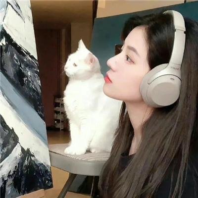 王国:北方的阿信